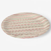 Assiettes En Carton Bandes roses (Angle)