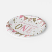 Assiettes En Carton Bannières de Parties scintillant rose et or Premie (Angle)