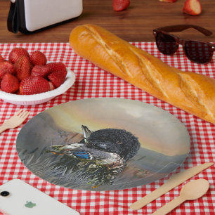 Assiettes En Carton Barbet, Chien d'eau français
