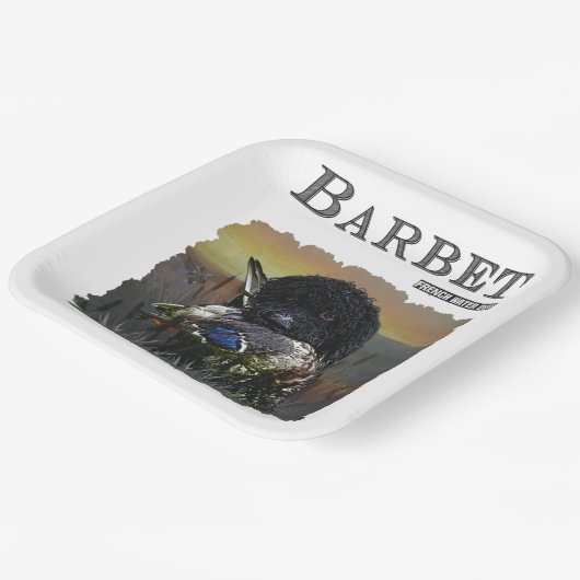 Assiettes En Carton Barbet, Chien d'eau français (Angulaire)