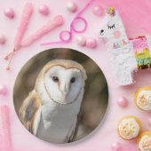 Assiettes En Carton Barn Owl (Fête)