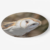 Assiettes En Carton Barn Owl (Angle)