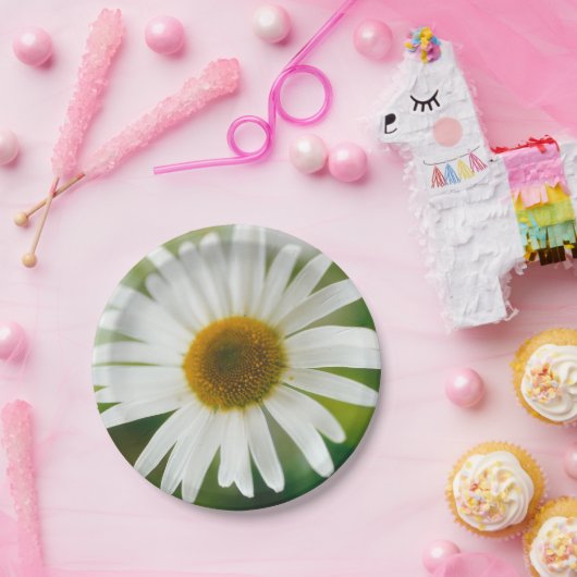 Assiettes En Carton Basière oculaire blanche - Leucanthemum vulgare (Fête)