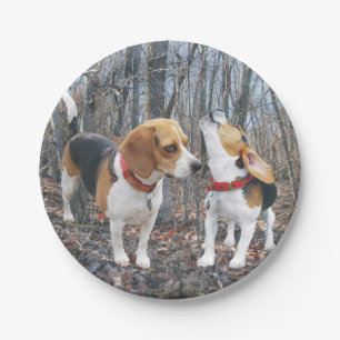 Assiettes En Carton Beagle et ami d'hurlement dans la plaque à papier