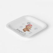 Assiettes En Carton Bear Balloon Santa Hat (Angulaire)