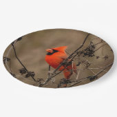 Assiettes En Carton Beau Cardinal du Nord  (Angle)