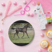 Assiettes En Carton Beau Cheval Courir sur le terrain (Fête)