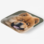 Assiettes En Carton Beau Chow Chow Chow (Angulaire)