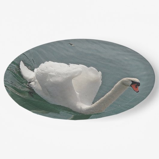 Assiettes En Carton Beau cygne blanc (Angle)