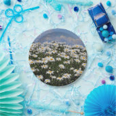 Assiettes En Carton Beau jardin de marguerite blanche (Fête)