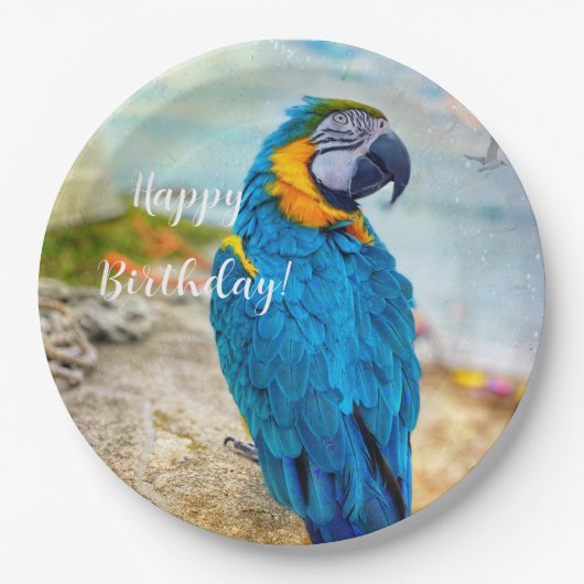 Assiettes En Carton Beau Parrot Macaw (Devant)