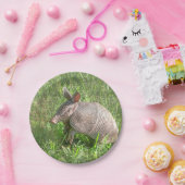 Assiettes En Carton Bébé adorable Armadillo (Fête)