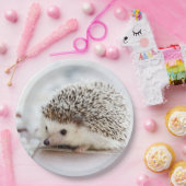 Assiettes En Carton Bébé mou Hérisson (Fête)