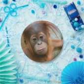 Assiettes En Carton Bébé Orangutan, face à face (Fête)