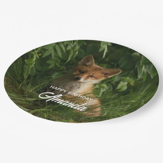 Assiettes En Carton Bébé renard dans une forêt verte Anniversaire (Angle)