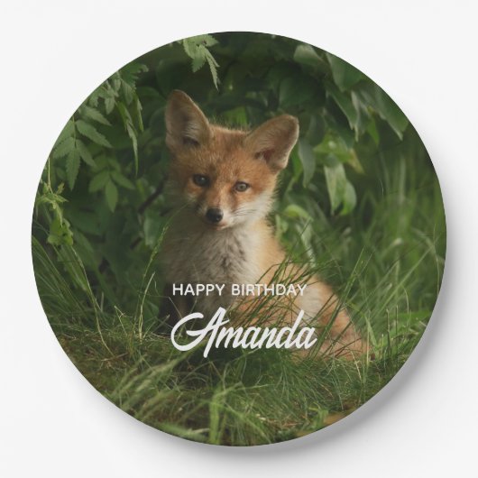 Assiettes En Carton Bébé renard dans une forêt verte Anniversaire (Devant)