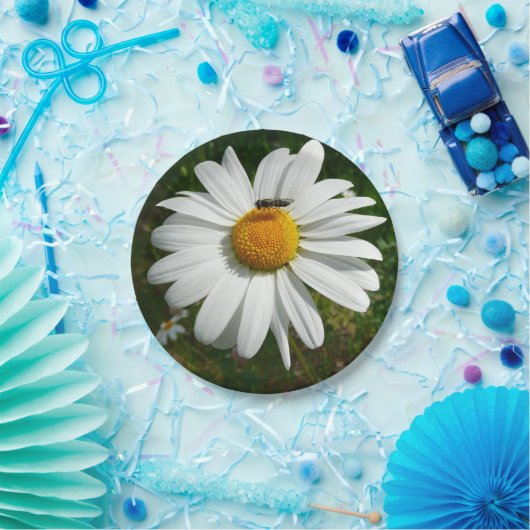 Assiettes En Carton Bee on Daisy Alaskan Summer Nature (Fête)