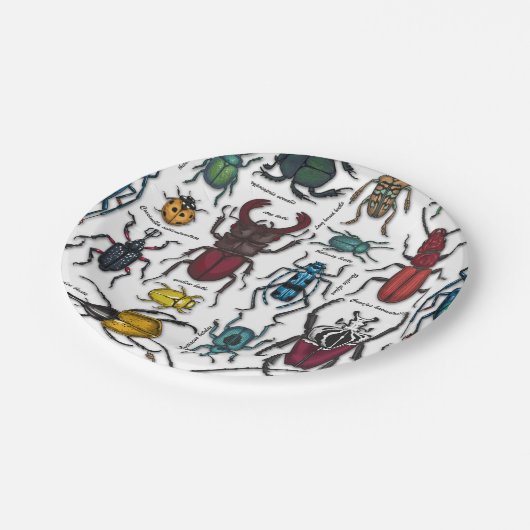 Assiettes En Carton Beetons sur blanc (Angle)