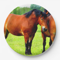 Belle Baie Ébauche Cheval Dans La prairie Verte