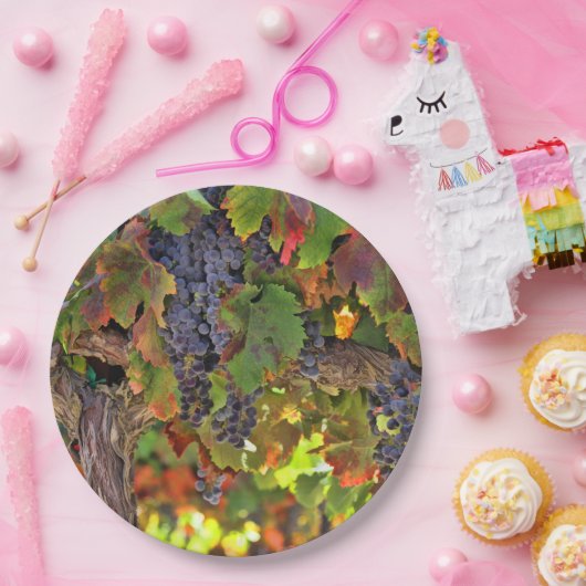 Assiettes En Carton Belle cueillette Vigne Vignoble Plate de papier pi (Fête)