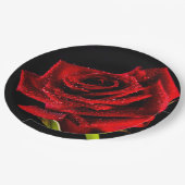Assiettes En Carton Belle rose rouge (Angle)