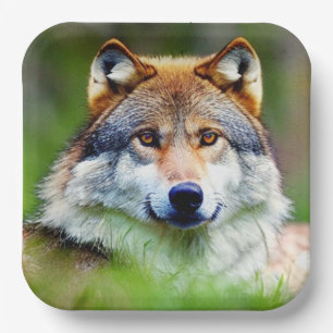 Assiettes En Carton Belle tête de loup Peinture