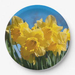 Assiettes En Carton Belles Daffodiles Jaunes
