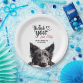 Assiettes En Carton Berger belge (Fête)