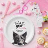 Assiettes En Carton Berger belge (Fête)