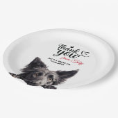 Assiettes En Carton Berger belge (Angle)