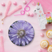 Assiettes En Carton Berlinette (Fête)