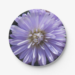 Assiettes En Carton Berlinette