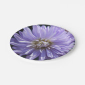 Assiettes En Carton Berlinette (Angle)