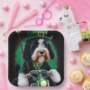 Assiettes En Carton Bernedoodle Chien conduisant un vélo Saint-Patrick