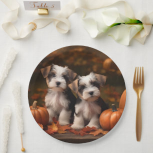 Assiettes En Carton Biewer Terrier Chiot Automne Citrouille délice