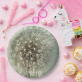 Assiettes En Carton Big White Dandelion (Fête)