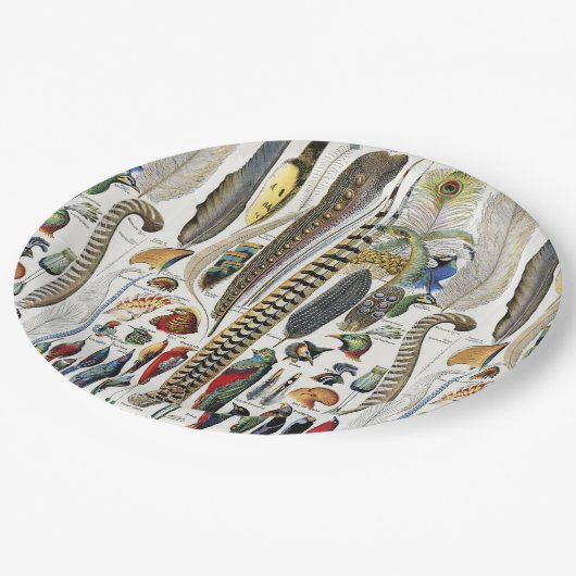 Assiettes En Carton Bird Feather Wildlife Antique Feathers Art Nouveau (Angle)