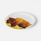 Assiettes En Carton Bison / Buffle (Angle)