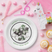 Assiettes En Carton Bison vert et noir - Chaussure et emballage (Fête)