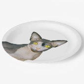 Assiettes En Carton Blanc de partie de chat de chats de Ninja Rex de (Angle)