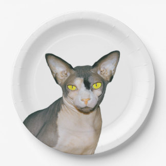 Assiettes En Carton Blanc de partie de chat de chats de Ninja Rex de