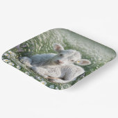 Assiettes En Carton Blanc Écossais Haut-Calf Dans Le pré De Daisy (Angulaire)