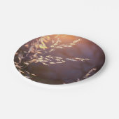 Assiettes En Carton blé le matin (Angle)