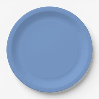 Assiettes En Carton Bleu