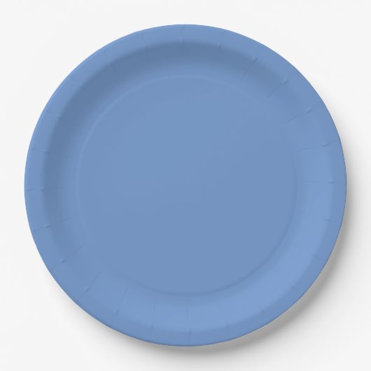 Assiettes En Carton Bleu (Devant)