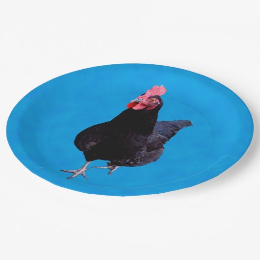 Assiettes En Carton Bleu Chicken Strut, Plaques de papier d'anniversai (Angle)