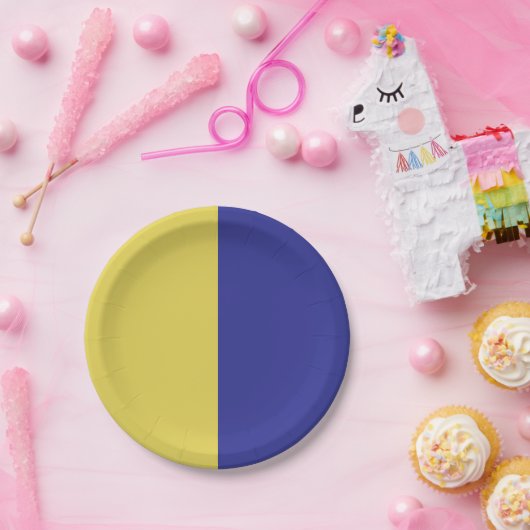 Assiettes En Carton Bleu Et Jaune (Fête)
