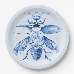 Assiettes En Carton Bleu vintage des scarabées de l'image
