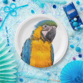 Assiettes En Carton Blue and Gold Macaw (Fête)