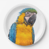 Assiettes En Carton Blue and Gold Macaw (Devant)